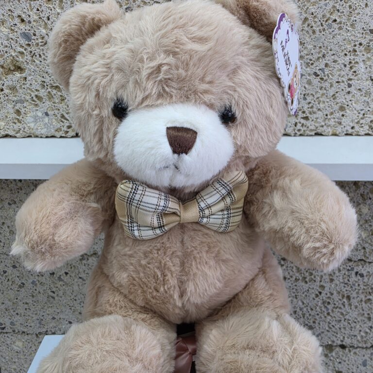 Oso lazo