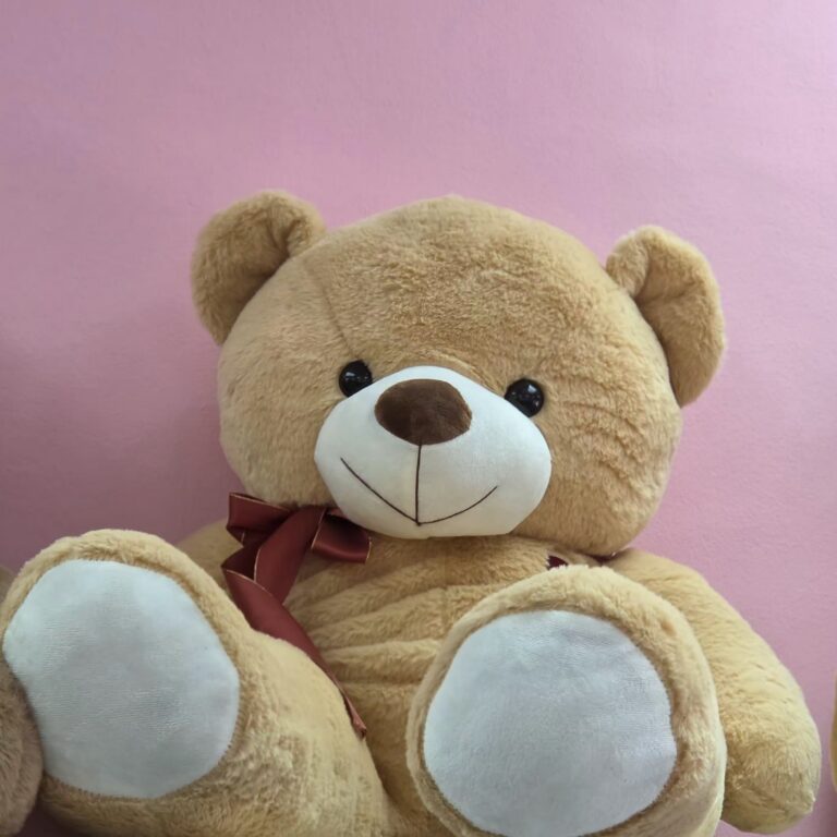 Oso grande